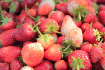 fruit strawberry red