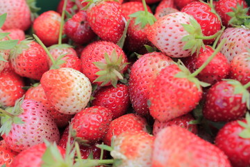 fruit strawberry red