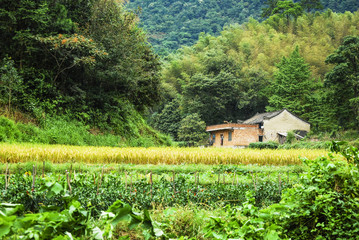 Obraz premium Beautiful countryside scenery in autumn 