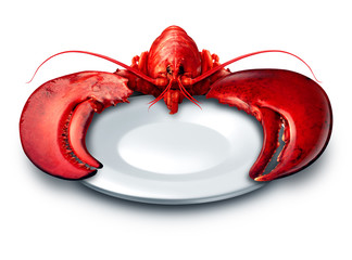 Lobster plate dinner on a white background as fresh seafood or shellfish food on a blank dish as a luxury expensive meal concept as a complete red shell crustacean holding the dishware with claws.