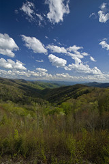 Fototapeta na wymiar Spring, Newfound Gap Rd, Great Smoky Mountains NP, TN-NC