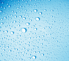 the water drop on fresh light blue  background