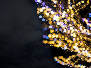 Tree with Christmas lights and night sky