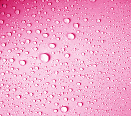 the water drop on fresh light pink  background