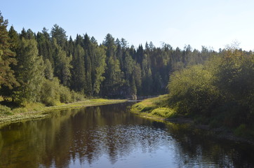 Obraz premium the view on the river and the forest