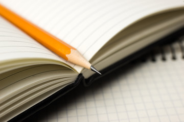 Pencil on the pages of an open notebook for records