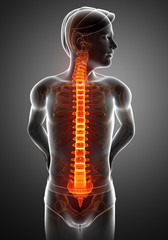 Male Feeling the back pain