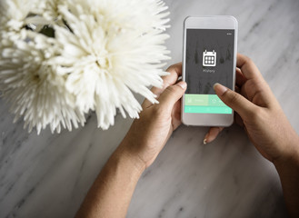 Browser History Web Technology Concept