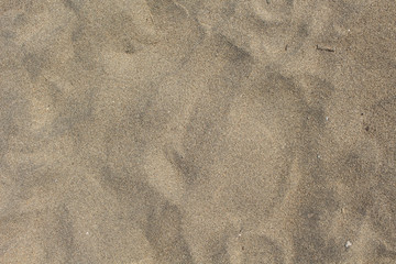 Beach sand closeup for background. Tropical beach macro photo.