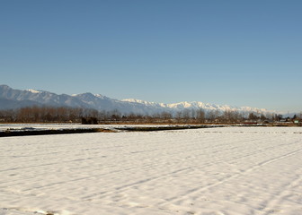 Obraz premium 信州の風景 雪の田園と北アルプス