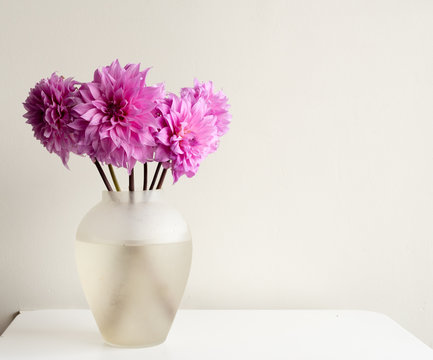 Bright pink dahlias in glass vase on white table against neutral wall