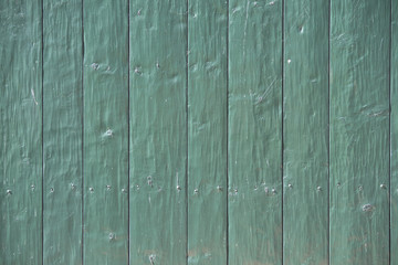 green wooden shelf wall