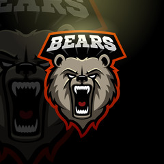 Bears sport sign