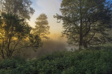 Obraz na płótnie Canvas Beautiful misty dawn at the small river.