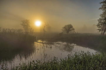 Beautiful misty dawn at the small river.