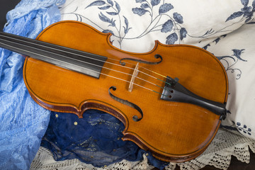 Fototapeta na wymiar European violin in a still life composition