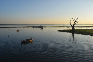 Tamarind tree in Taungthaman lake, Amarapura, Mandalay, Myanmar