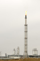 Torch petrochemical industry