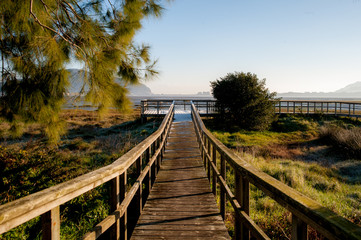camino hacia el mar