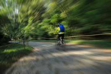 Fototapeta premium young woman riding mountain bike on forest trail