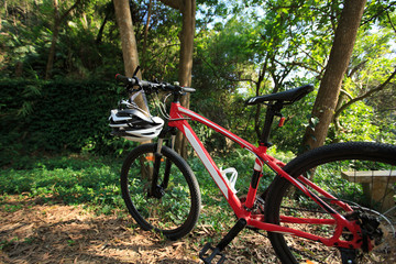 Fototapeta na wymiar mountain bike with helmet on forest trail