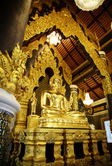 Gold buddha statues