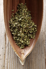 Oregano in einer Kokusnussschale