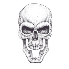 Angry skull.Dotwork style