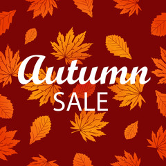 Vector an illustration with leaves and the inscription Autumn sale.Design element for a banner, leaflets, the website, the label.