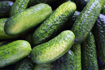 fresh pickling cucumbers closeup food background