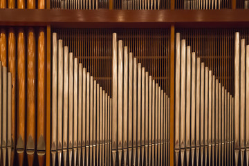 Organ Pipes