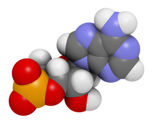 Cyclic adenosine monophosphate (cAMP) second messenger molecule