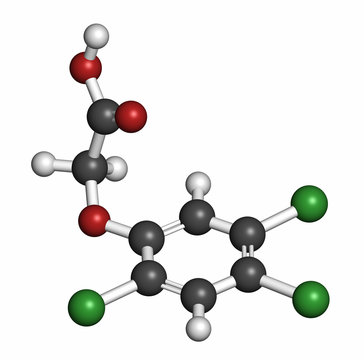 2,4,5-trichlorophenoxyacetic acid (2,4,5-T) herbicide molecule