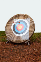 viking arrow target