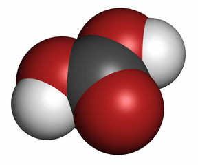 Carbonic acid molecule, 3D rendering. 