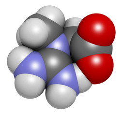 Creatine molecule, 3D rendering. Often used in food supplements.