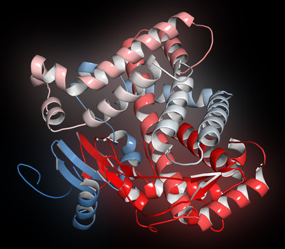 Cytochrome P450 (CYP2D6) Liver Enzyme In Complex With The Drug Quinine