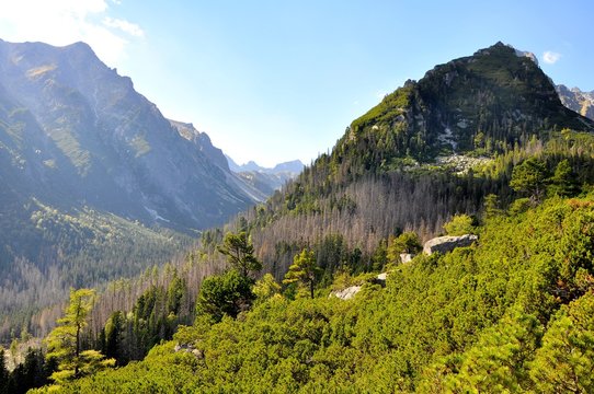 Fot. Konrad Filip Komarnicki / EAST NEWS Slowacja 09.09.2013 Dolina w slowackich Tatrach Wysokich.
