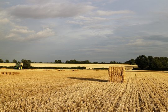 Hay Bails In Field