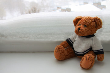 Teddy sailor in front of snowing street