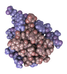 Insulin peptide hormone, 3D rendering. 