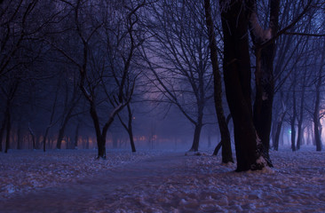 Foggy winter night in the park. Majestic silhouettes of trees covered in purple mist and orange lights. A downtrodden path leads through the snow to the mysterious and picturesque park