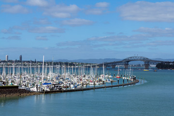 Fototapeta na wymiar Bayswater Marina Auckland Fishing Spot