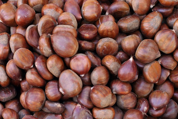 Raw chestnuts pile