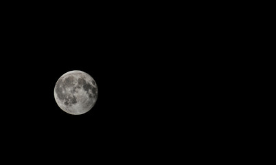 Full Moon. Fot. Konrad Filip Komarnicki / EAST NEWS Krynica - Zdroj 05.04.2015 Ksiezyc w pelni. - obrazy, fototapety, plakaty