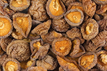 dried shiitake mushrooms closeup food background texture