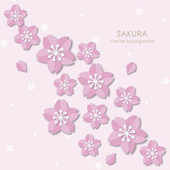 Sakura background