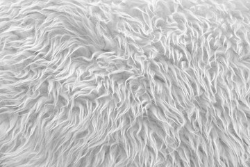 A soft white blanket of fur with a long NAP