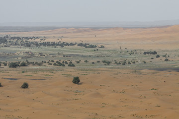 Sand dunes in the Sahara Desert, Morocco