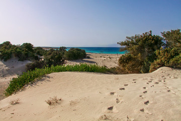 Amazing sandy landcape of uninhabited Chrissi island